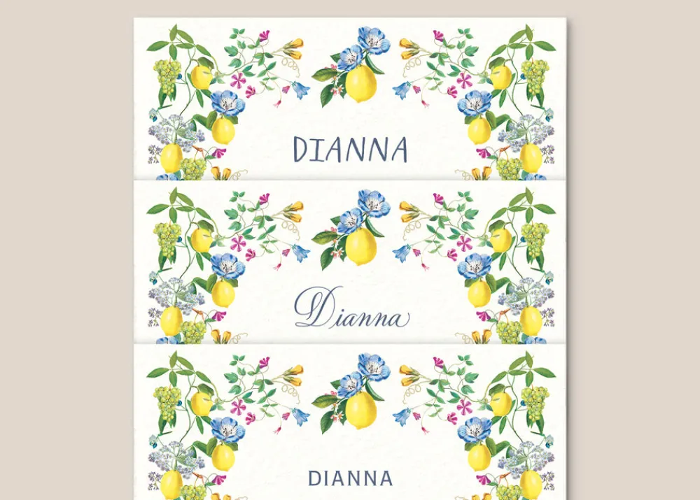 Casa Felix Place Settings & Linens|Al Fresco Place Cards