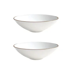 Twig NY Dinnerware|Alex Gold Set of 2, 8" Soup / Pasta Bowl