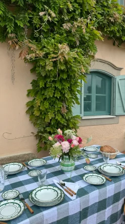 Molecot Dinnerware|Alhambra Green Dinner Plate