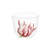 Lobmeyr Glassware|Alpha Tulipmania Water Tumbler with Tulips