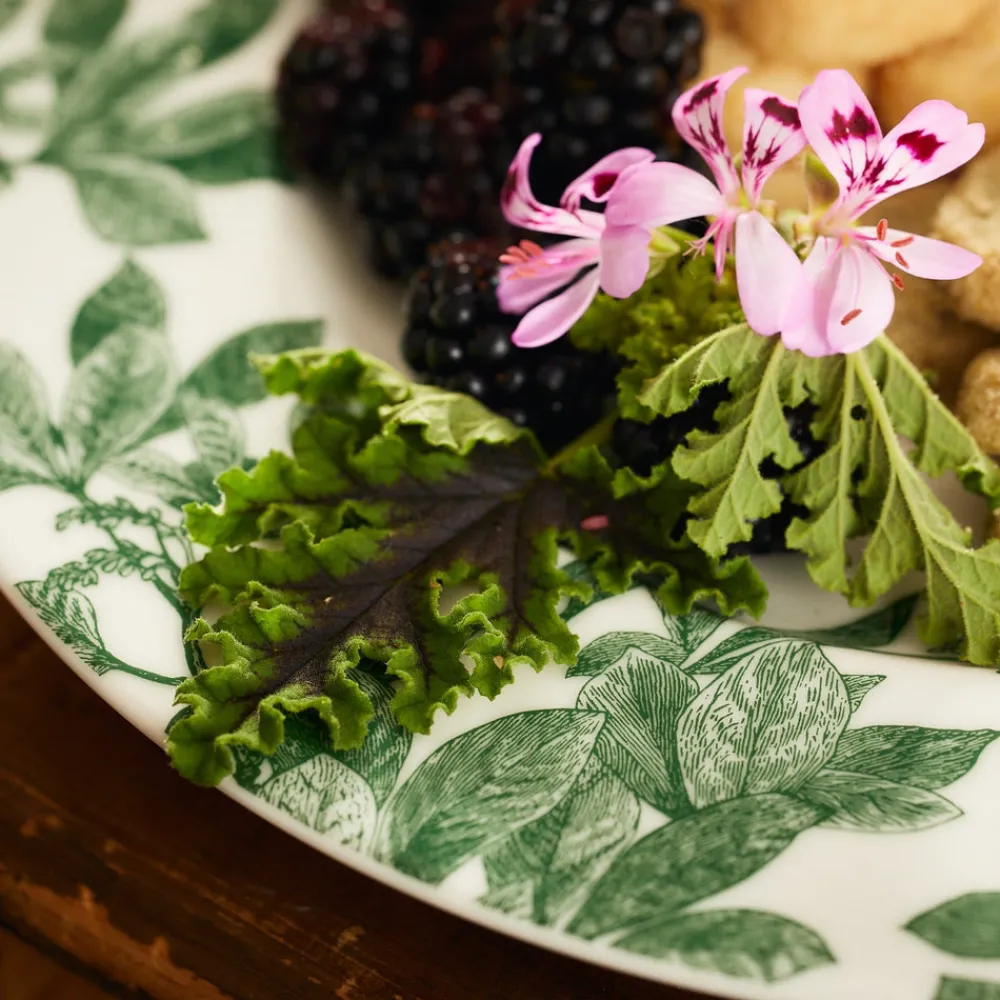 Caskata Dinnerware|Arbor Green Dinner Plate