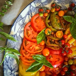 Caskata Dinnerware|Arbor Rimmed Dinner Plate Blue