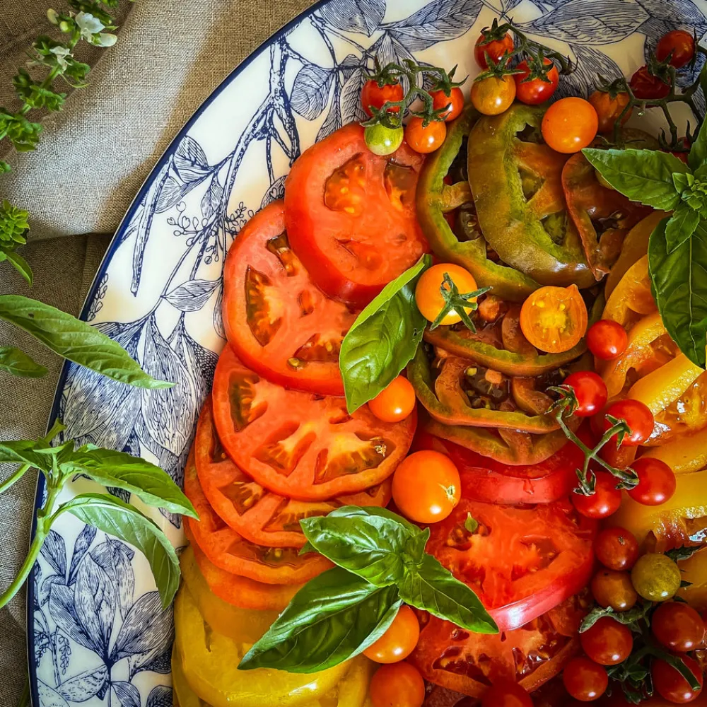 Caskata Dinnerware|Arbor Rimmed Dinner Plate Blue