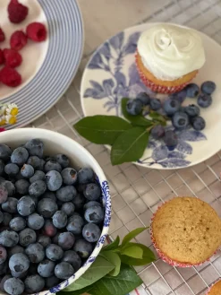 Caskata Dinnerware|Arcadia Canape Plates in Blue, Set of 4