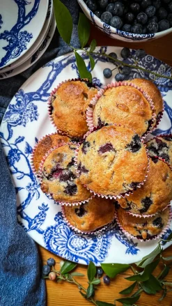 Caskata Dinnerware|Arcadia Rimmed Dinner Plate Blue