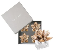 Kim Seybert Place Settings & Linens|Beachcomber Napkin Ring in Natural, Set of 4 in a Gift Box
