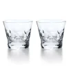 Baccarat Glassware|Beluga Double Old Fashion Tumbler #2, Set of 2