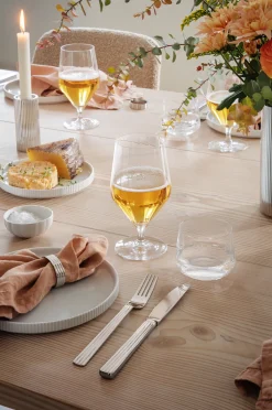 Georg Jensen Glassware|Bernadotte Beverage Glass, Set of 6