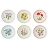 Portmeirion Dinnerware|Botanic Garden Meadow Salad Plates, Set of 6