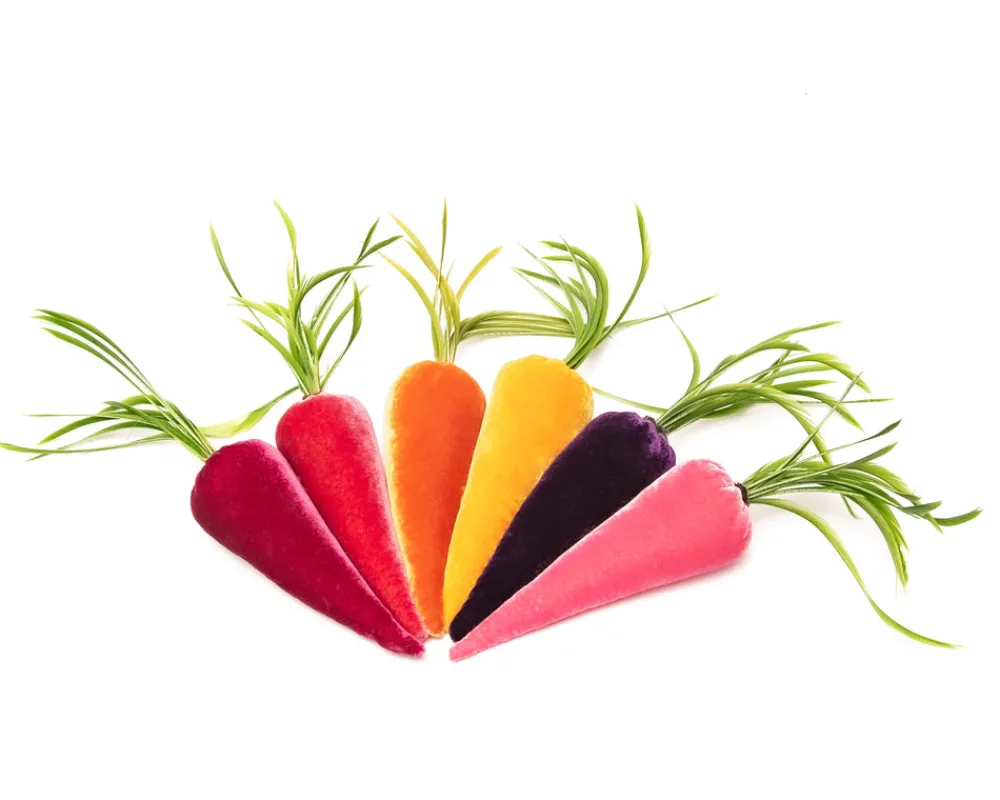 Hot Skwash Living|Décor|Bright Bunch of Carrots