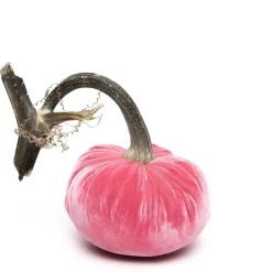 Hot Skwash Living|Décor|Bubblegum Silk Velvet Pumpkin