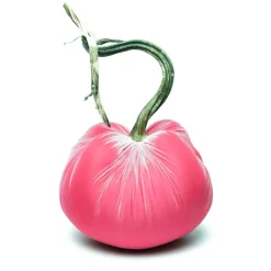 Hot Skwash Living|Décor|Bubblegum Silk Velvet Pumpkin