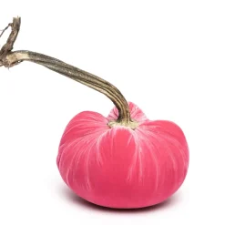 Hot Skwash Living|Décor|Bubblegum Silk Velvet Pumpkin