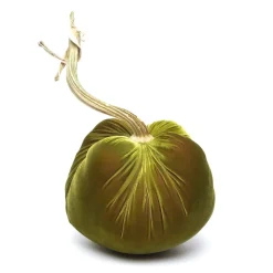 Hot Skwash Living|Décor|Cactus Silk Velvet Pumpkin