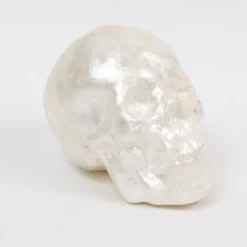 Joanna Buchanan Living|Décor|Capiz Skull in Pearl