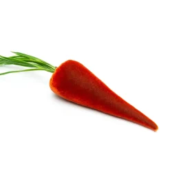 Hot Skwash Living|Décor|Carrot in Apricot