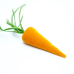 Hot Skwash Living|Décor|Carrot in Carrot