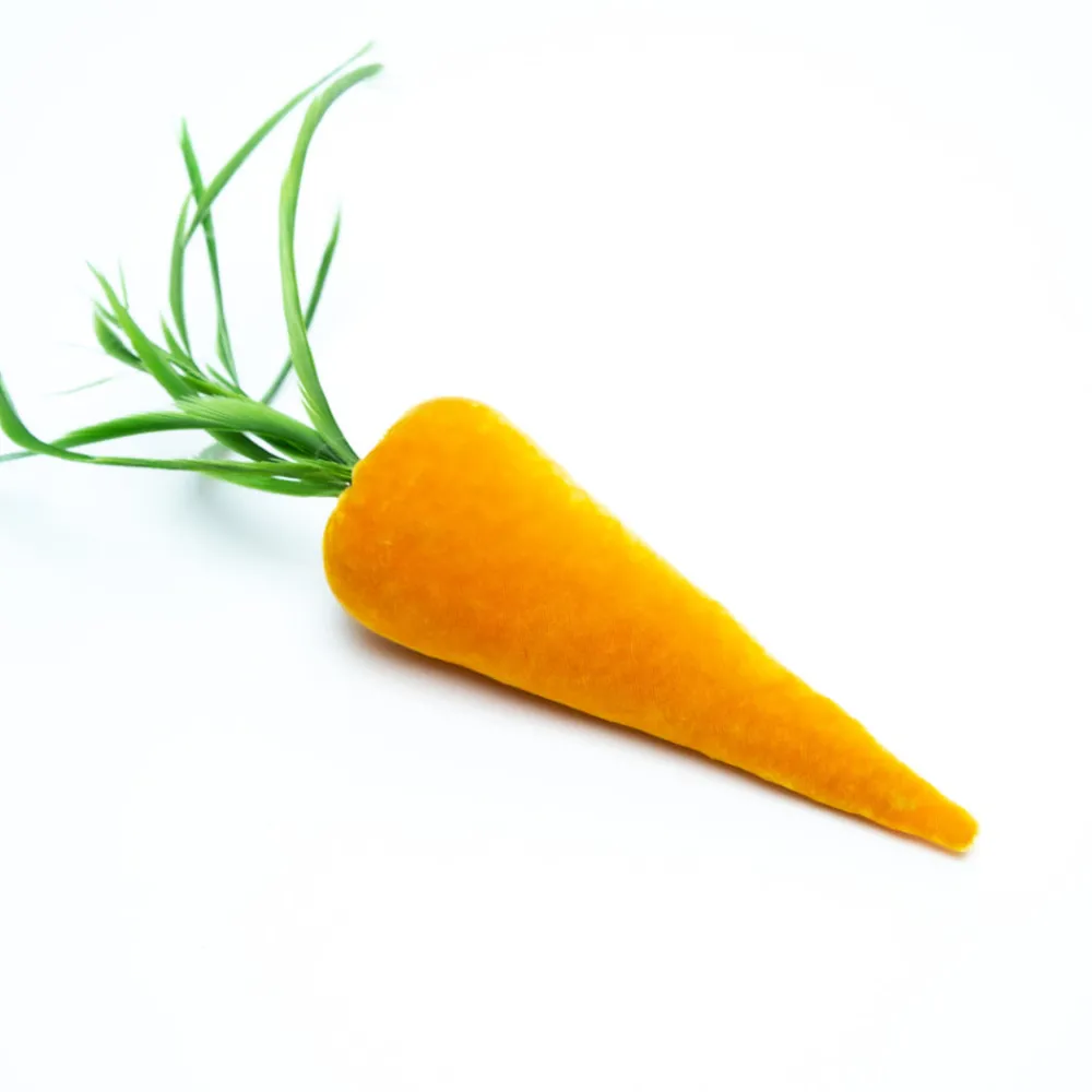 Hot Skwash Living|Décor|Carrot in Carrot