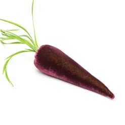 Hot Skwash Living|Décor|Carrot in Eggplant