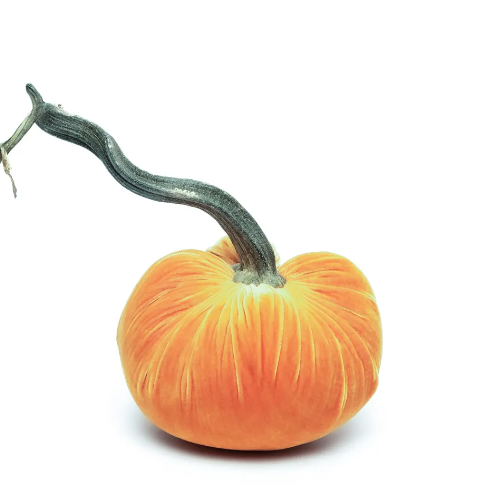Hot Skwash Living|Décor|Carrot Silk Velvet Pumpkin