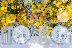 Pomelo Casa Dinnerware|Casa Celeste Dinner Plate with Traditional Designs