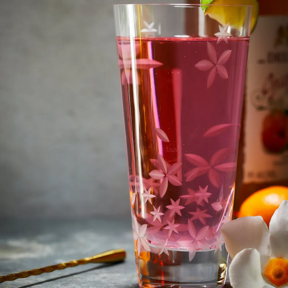 Caskata Glassware|Chatham Bloom Highball Glasses, Set of 2