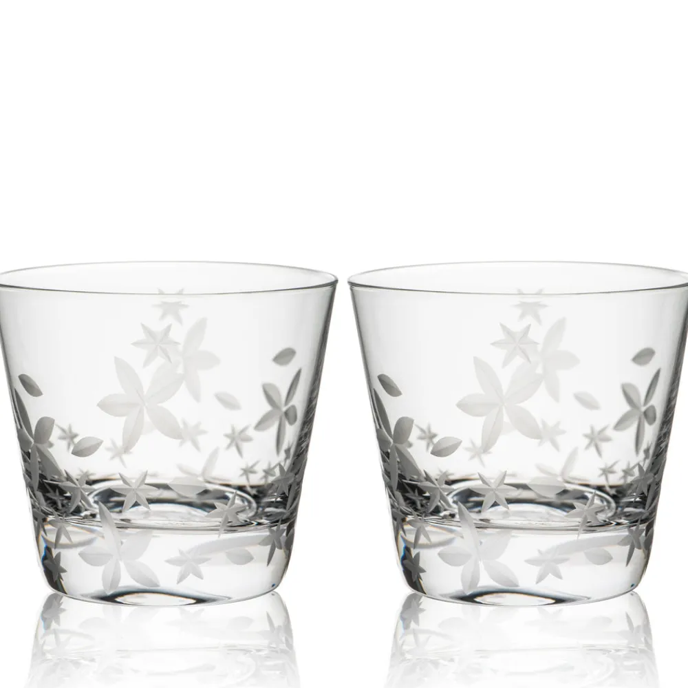Caskata Glassware|Chatham Bloom Tumblers, Set of 2