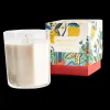 Schumacher Candles & Fragrance|Candles|Citrus Garden Candle