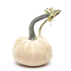 Hot Skwash Living|Décor|Cream Silk Velvet Pumpkin