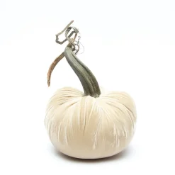 Hot Skwash Living|Décor|Cream Silk Velvet Pumpkin