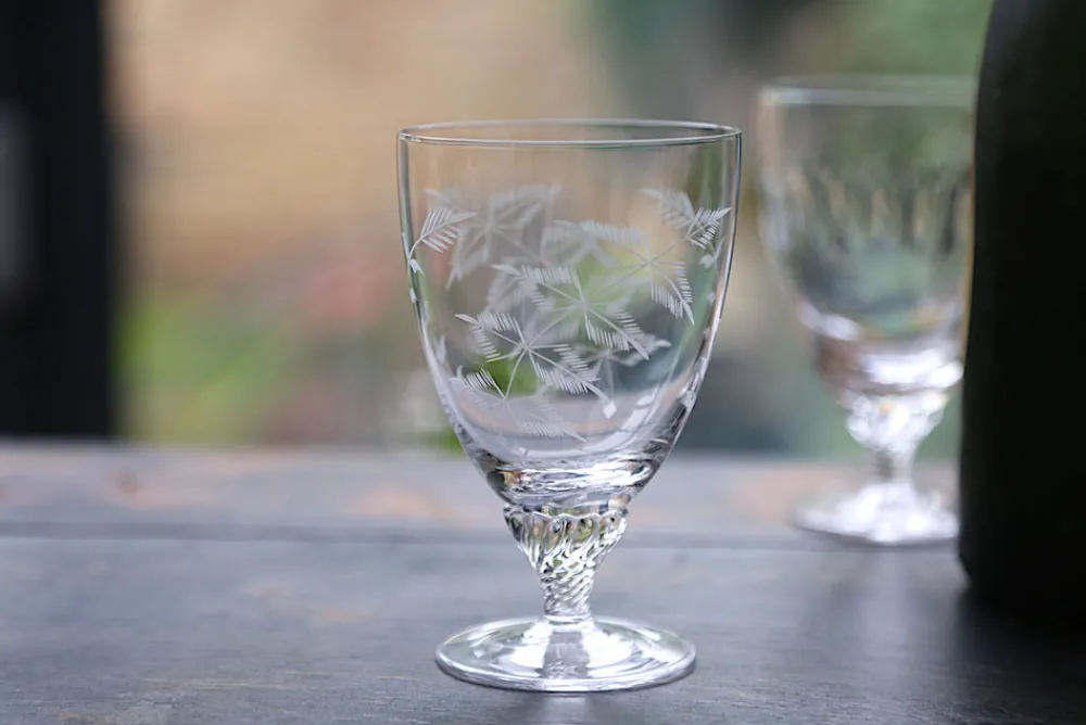 The Vintage List Glassware|Crystal Bistro Glasses with Fern Design, Set of Six