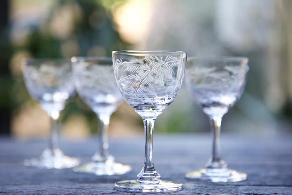 The Vintage List Glassware|Crystal Liqueur Glasses with Fern Design, Set of Six