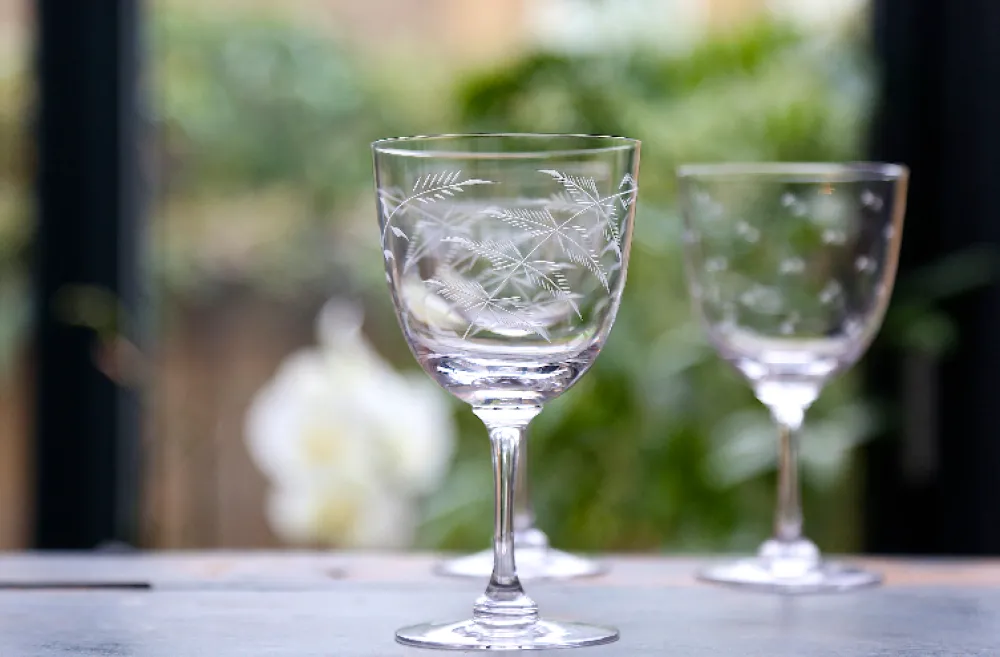 The Vintage List Glassware|Crystal Wine Glasses with Fern Design