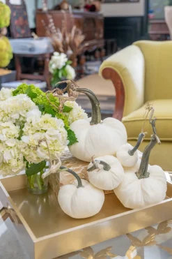 Hot Skwash Living|Décor|Decor Gold, 002