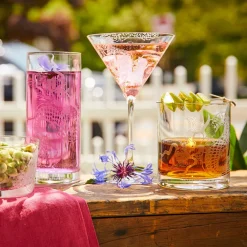 Caskata Glassware|Dragon Tall Drink Glasses