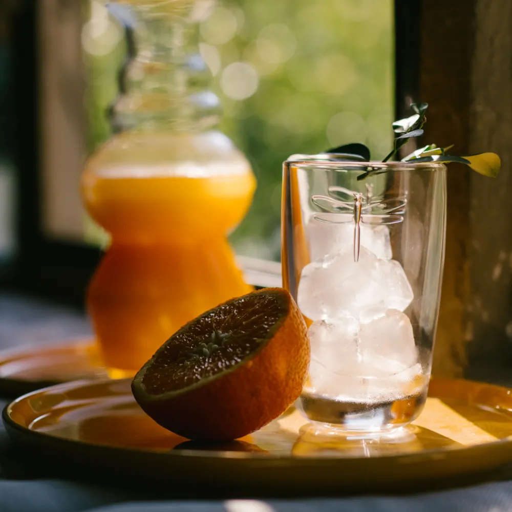 La Rochere Glassware|Dragonfly Juice Glass, Set of 6