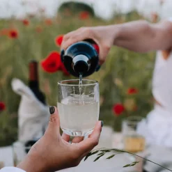 La Rochere Glassware|Dragonfly Tumbler, Set of 6