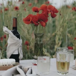 La Rochere Glassware|Dragonfly Tumbler, Set of 6