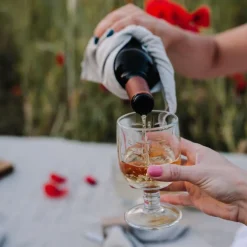 La Rochere Glassware|Dragonfly Wine Glass, Set of 6