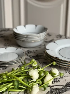 Molecot Dinnerware|Drops Soup & Pasta Plate