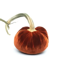 Hot Skwash Living|Décor|Fire Silk Velvet Pumpkin