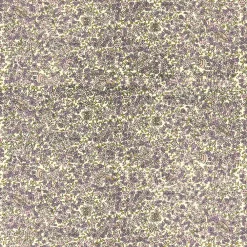 Couleur Nature Place Settings & Linens|French Tablecloth Lavender