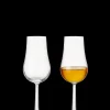 Rosendahl Glassware|GC Spirit Glass Clear, Set of 2