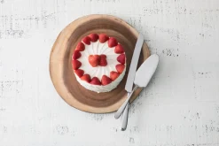 Fortessa Flatware|Grand City Serrated Cake Server/Knife Boxed Set