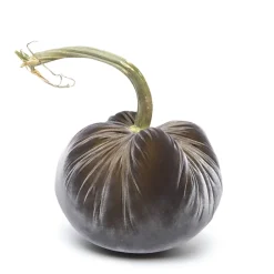 Hot Skwash Living|Décor|Graphite Silk Velvet Pumpkin