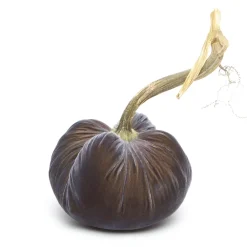 Hot Skwash Living|Décor|Graphite Silk Velvet Pumpkin