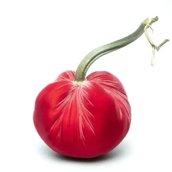 Hot Skwash Living|Décor|Guava Silk Velvet Pumpkin