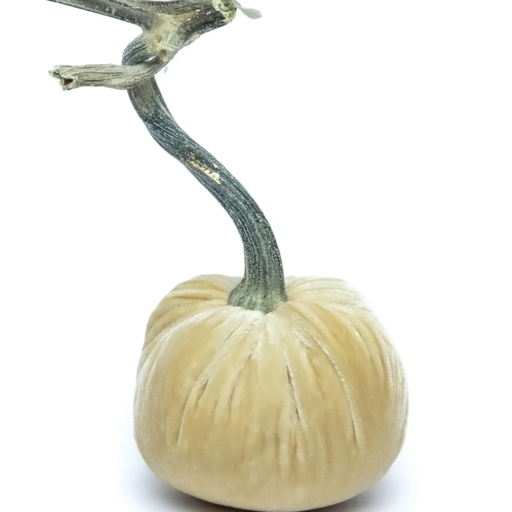 Hot Skwash Living|Décor|Husk Silk Velvet Pumpkin
