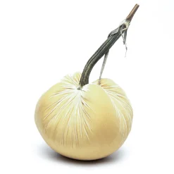 Hot Skwash Living|Décor|Husk Silk Velvet Pumpkin