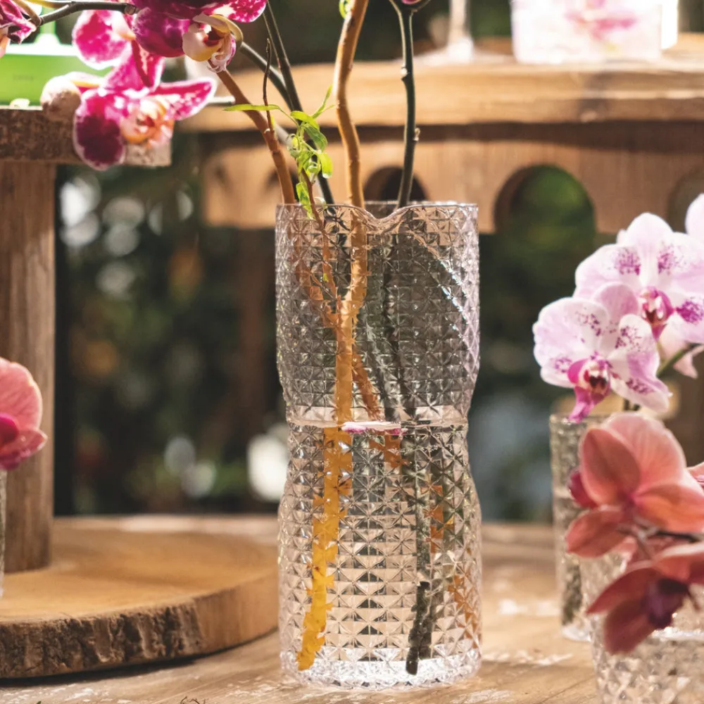 Zafferano Glassware|Isolano Carafe